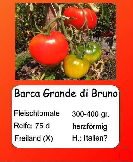 Barca Grande di Bruno DER TOMATENFLÜSTERER