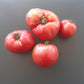 Barski Rosi DER TOMATENFLÜSTERER