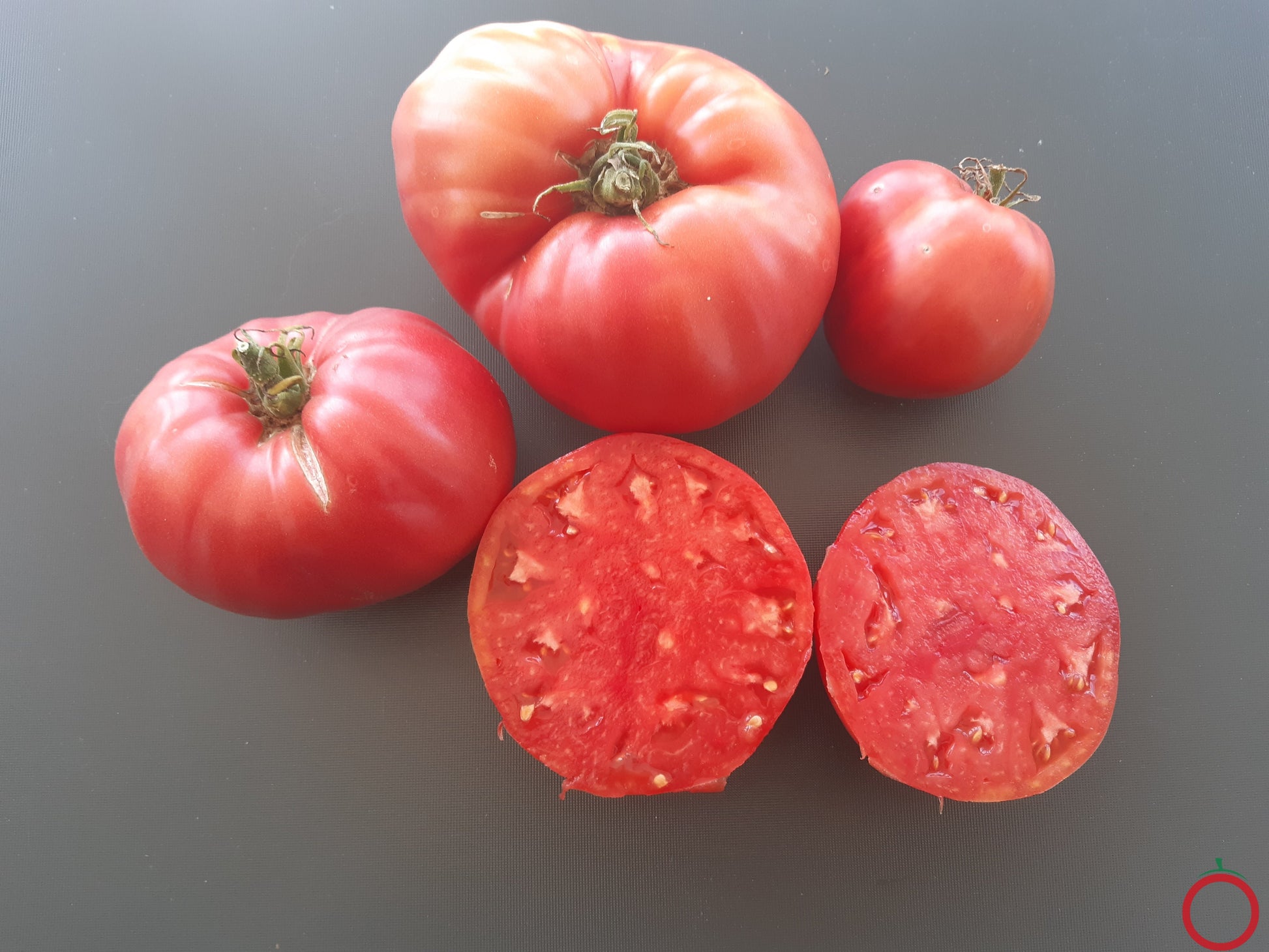 Barski Rosi DER TOMATENFLÜSTERER
