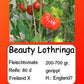 Beauty Lottringa DER TOMATENFLÜSTERER