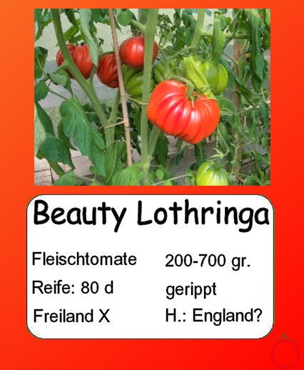 Beauty Lottringa DER TOMATENFLÜSTERER