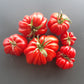 Beauty Lottringa DER TOMATENFLÜSTERER