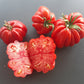Beauty Lottringa DER TOMATENFLÜSTERER
