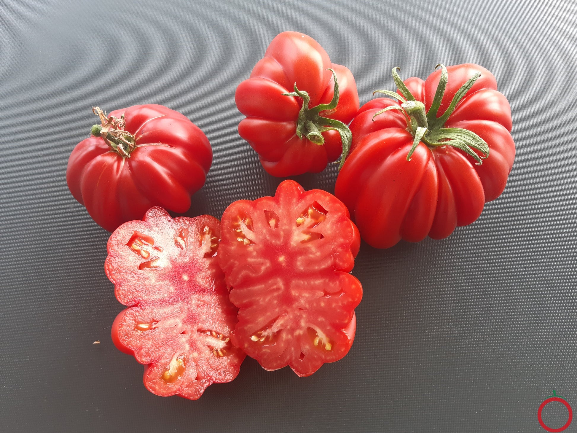 Beauty Lottringa DER TOMATENFLÜSTERER