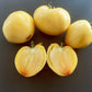 Belaya Vishnya DER TOMATENFLÜSTERER