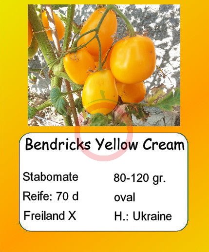 Bendricks Yellow Cream DER TOMATENFLÜSTERER