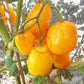 Bendricks Yellow Cream DER TOMATENFLÜSTERER