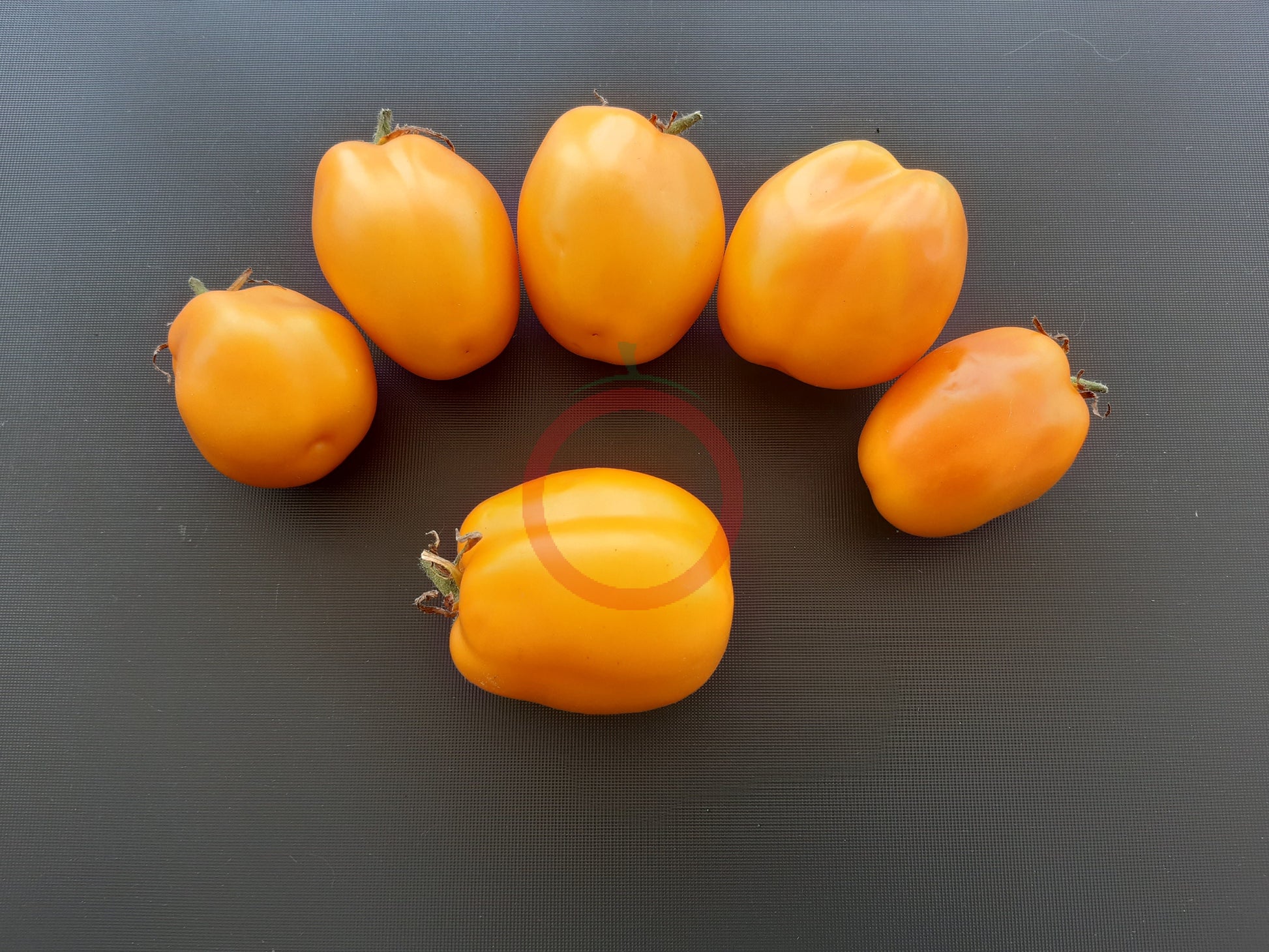 Bendricks Yellow Cream DER TOMATENFLÜSTERER