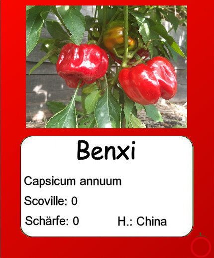 Benxi DER TOMATENFLÜSTERER