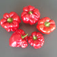 Benxi DER TOMATENFLÜSTERER