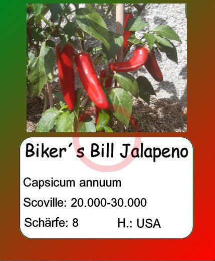 Biker´s Bill Jalapeno DER TOMATENFLÜSTERER