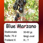 Blue Marzano DER TOMATENFLÜSTERER