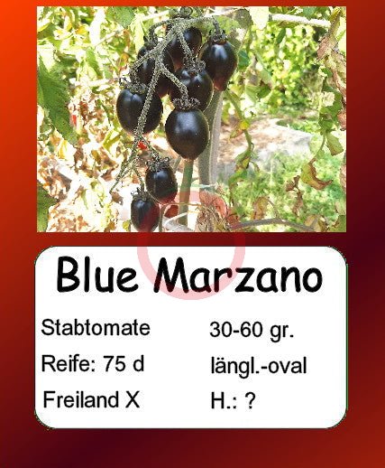 Blue Marzano DER TOMATENFLÜSTERER