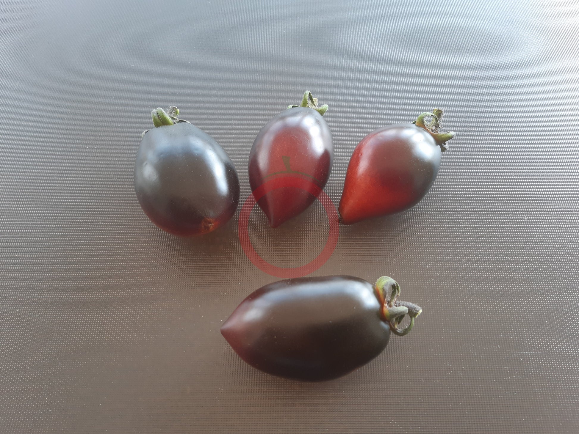 Blue Marzano DER TOMATENFLÜSTERER