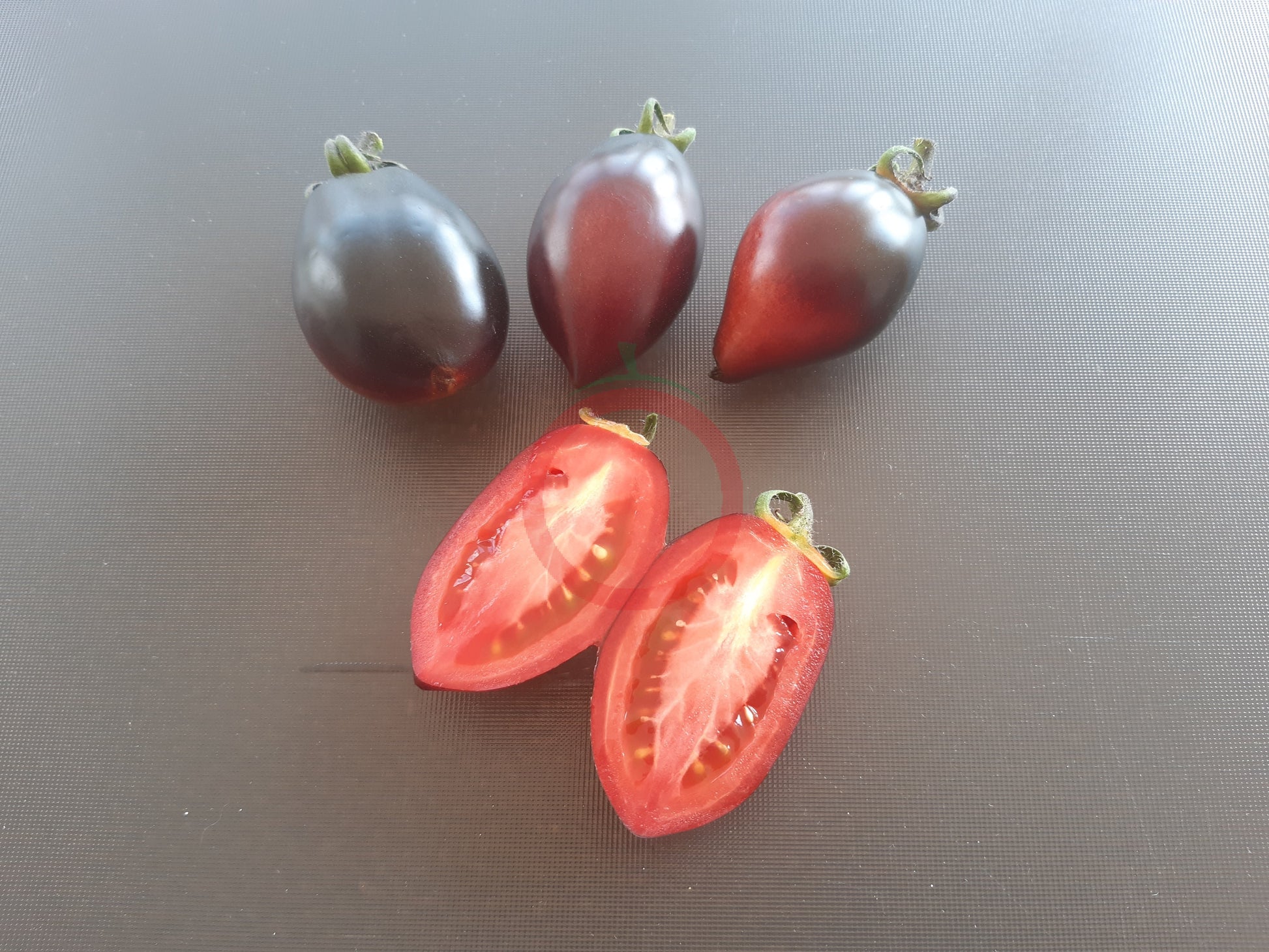 Blue Marzano DER TOMATENFLÜSTERER