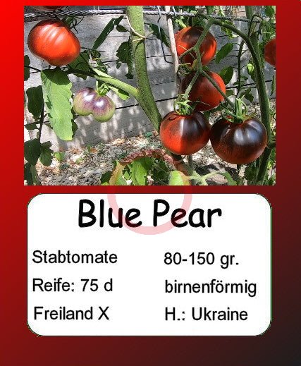 Blue Pear DER TOMATENFLÜSTERER
