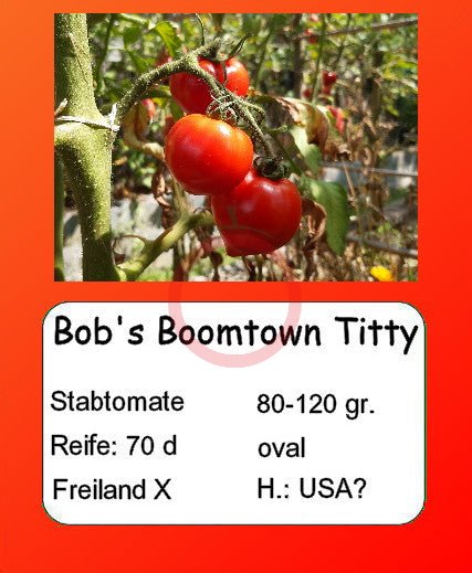 Bob's Boomtown Titty DER TOMATENFLÜSTERER