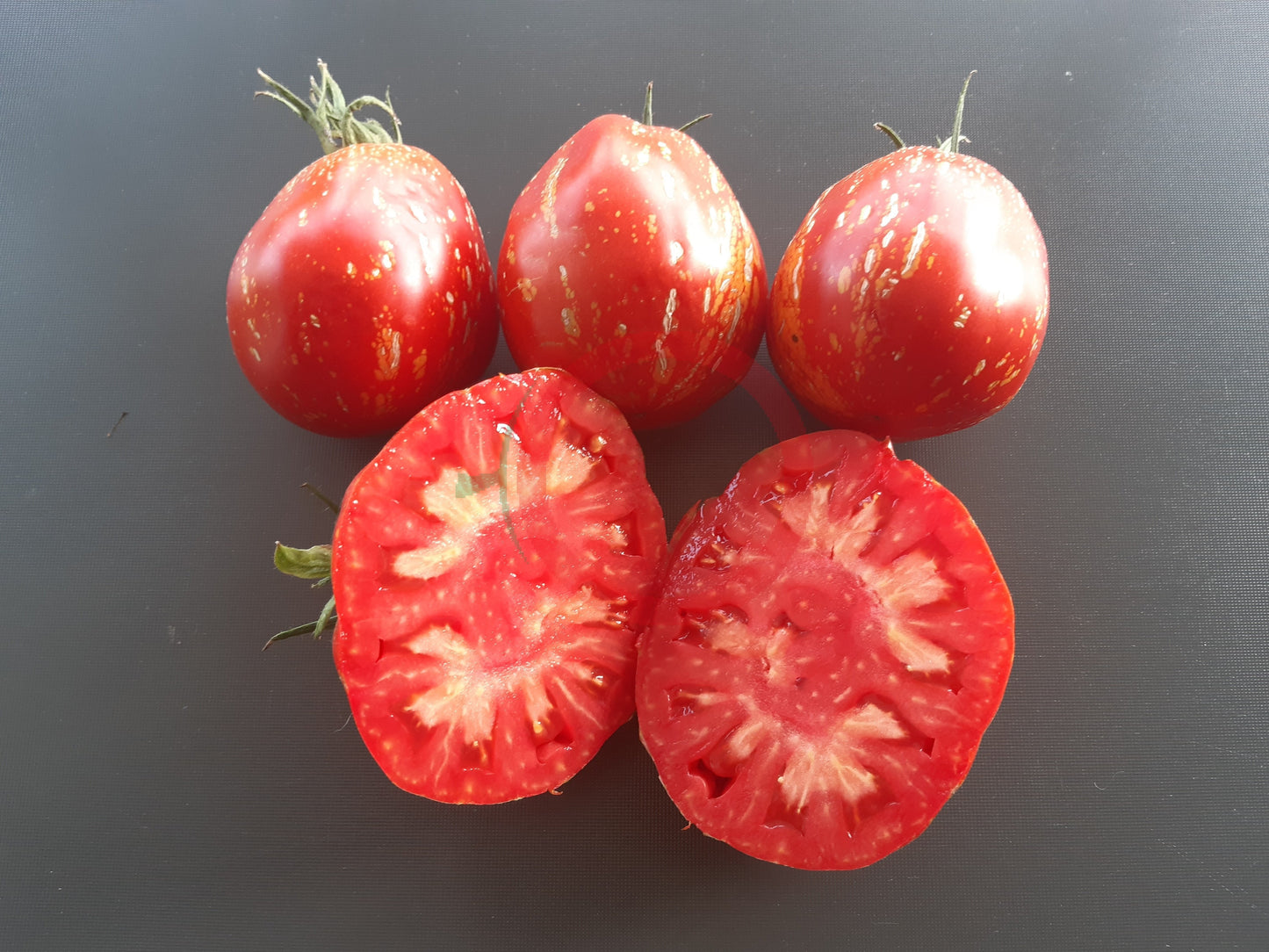 Borsa Montone DER TOMATENFLÜSTERER