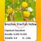 Brazilian Starfish Yellow DER TOMATENFLÜSTERER