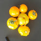 Bundevice DER TOMATENFLÜSTERER