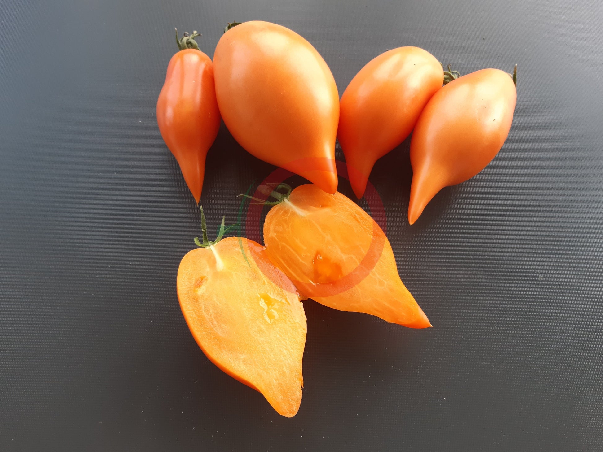 Buratino DER TOMATENFLÜSTERER