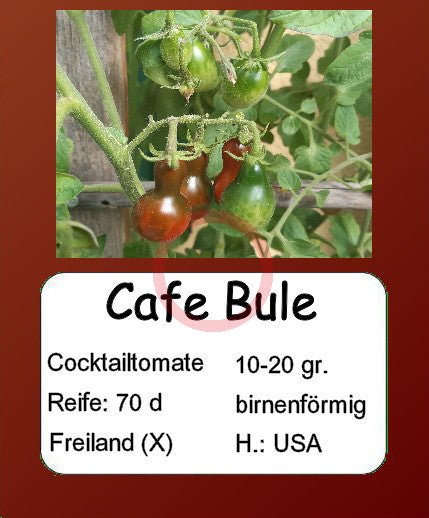 Cafe Bule DER TOMATENFLÜSTERER