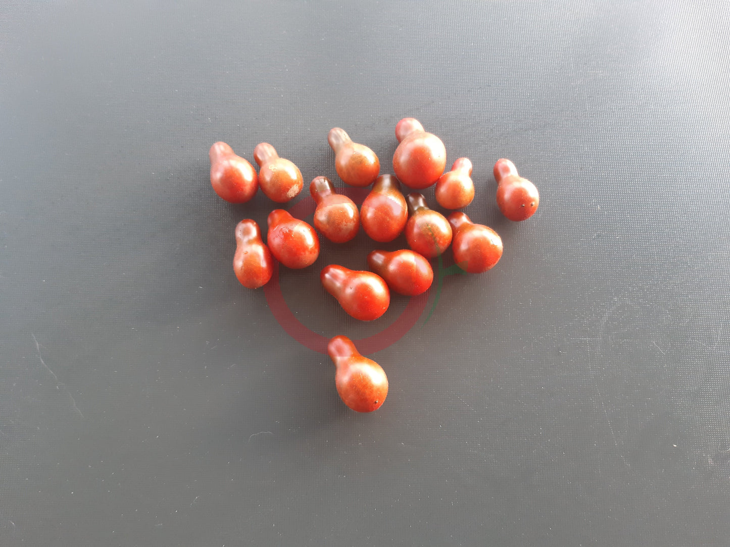 Cafe Bule DER TOMATENFLÜSTERER
