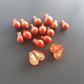 Cafe Bule DER TOMATENFLÜSTERER