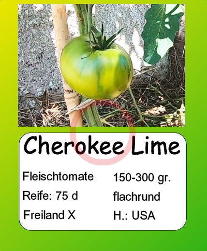 Cherokee Lime DER TOMATENFLÜSTERER