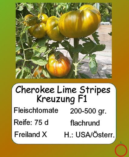 Cherokee Lime Stripes Kreuzung F1 DER TOMATENFLÜSTERER