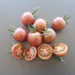 Cherokee Purple Cherry DER TOMATENFLÜSTERER