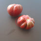 Cherokee Tiger Purple Striped DER TOMATENFLÜSTERER