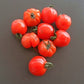 Cherry Accordeon DER TOMATENFLÜSTERER