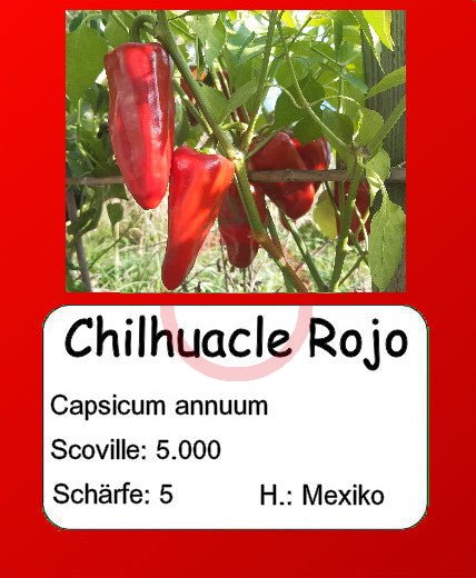 Chilhuacle Rojo DER TOMATENFLÜSTERER