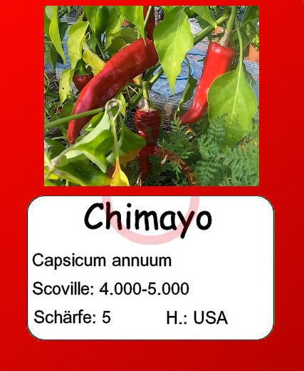 Chimayo DER TOMATENFLÜSTERER