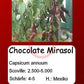 Chocolate Mirasol DER TOMATENFLÜSTERER