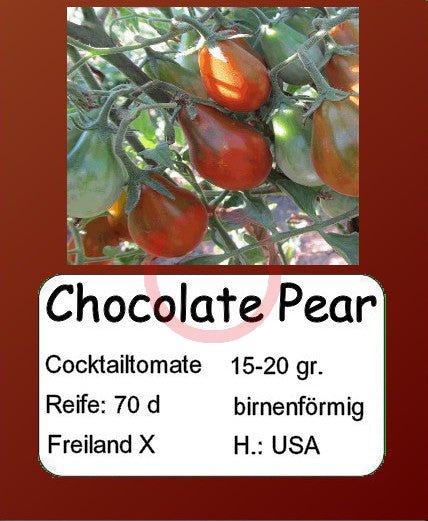 Chocolate Pear DER TOMATENFLÜSTERER