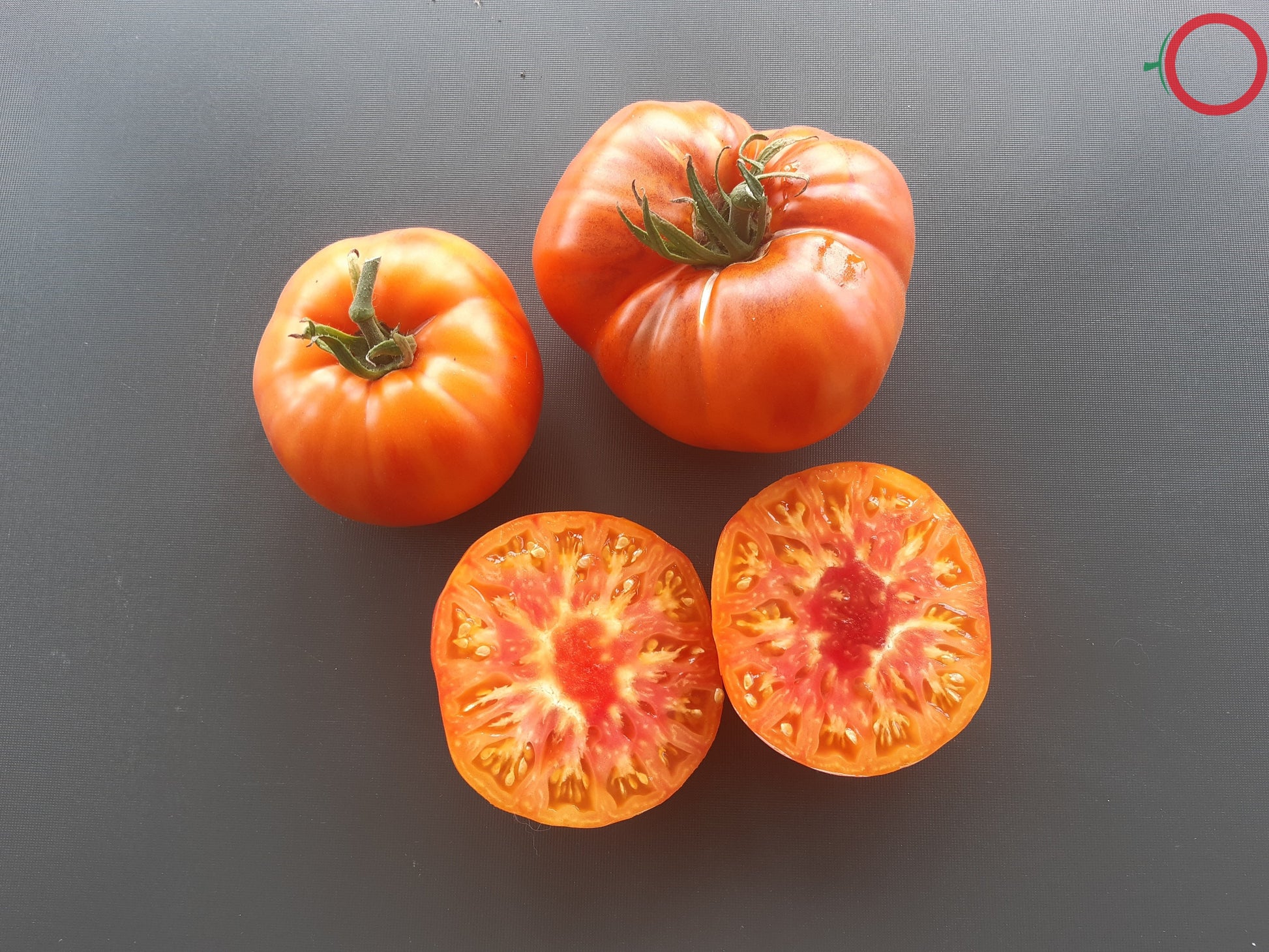 Chupa-Chups Orange DER TOMATENFLÜSTERER