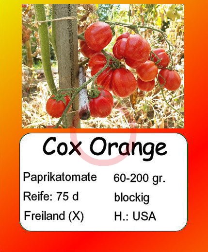 Cox Orange DER TOMATENFLÜSTERER