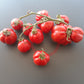 Cox Orange DER TOMATENFLÜSTERER
