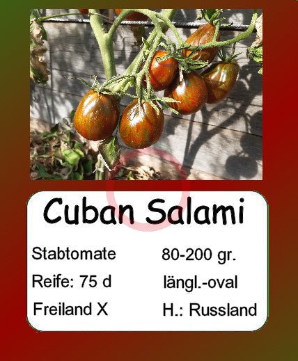 Cuban Salami DER TOMATENFLÜSTERER