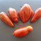 Cuban pepper like black DER TOMATENFLÜSTERER