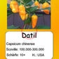 Datil DER TOMATENFLÜSTERER