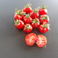 Del Gato DER TOMATENFLÜSTERER