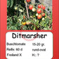 Ditmarsher DER TOMATENFLÜSTERER
