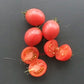 Ditmarsher DER TOMATENFLÜSTERER