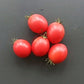 Ditmarsher DER TOMATENFLÜSTERER