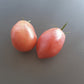 Donkey´s Ears DER TOMATENFLÜSTERER