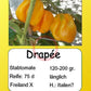 Drapeé DER TOMATENFLÜSTERER