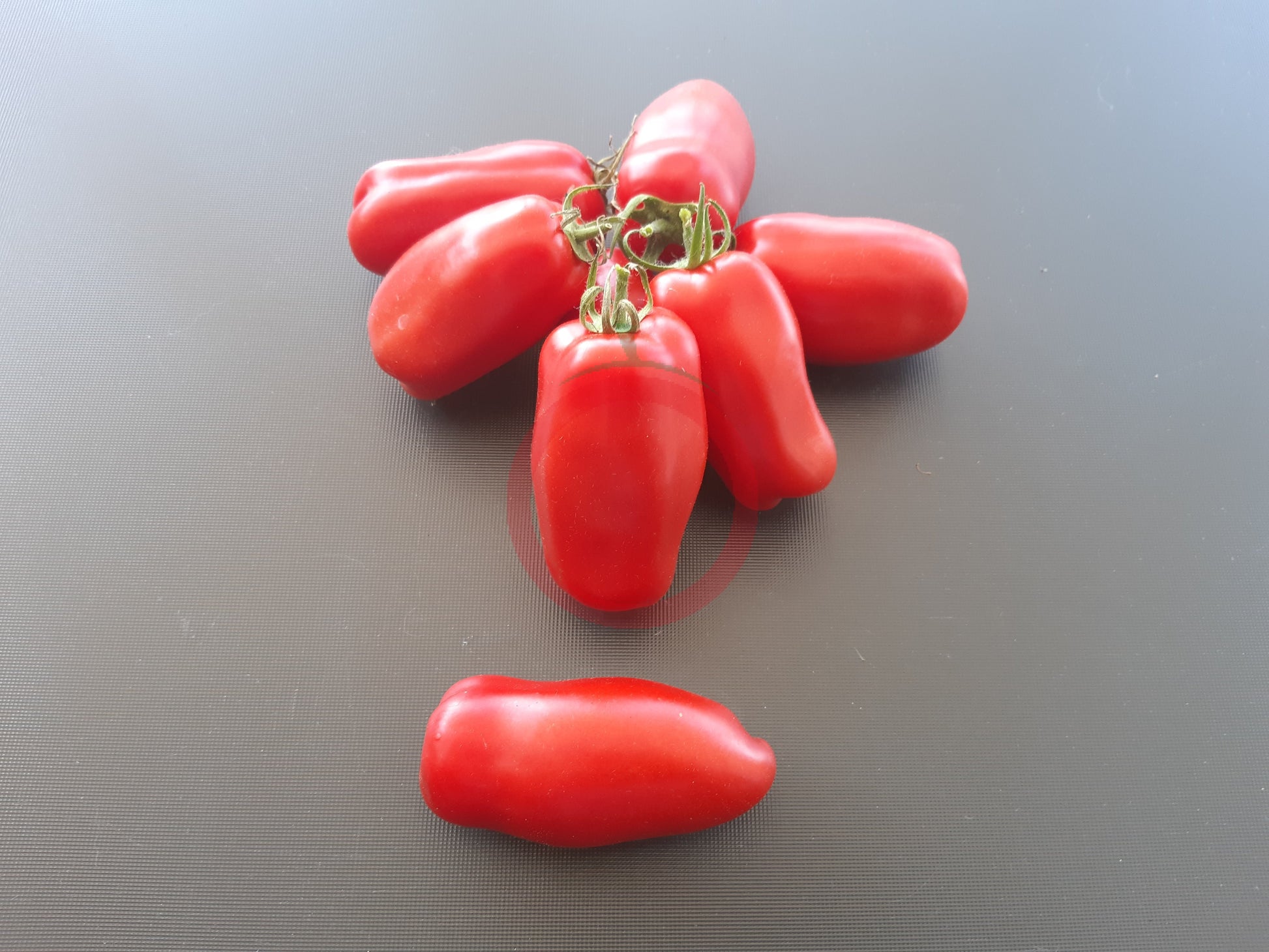 Drova DER TOMATENFLÜSTERER